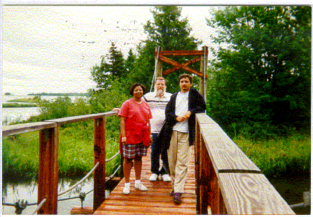 Footbridge in UP